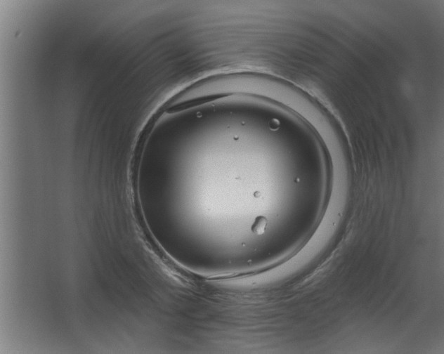 X0000067530789200604211842