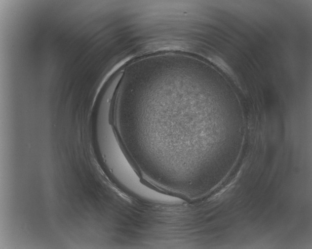 X0000067530790200604211842