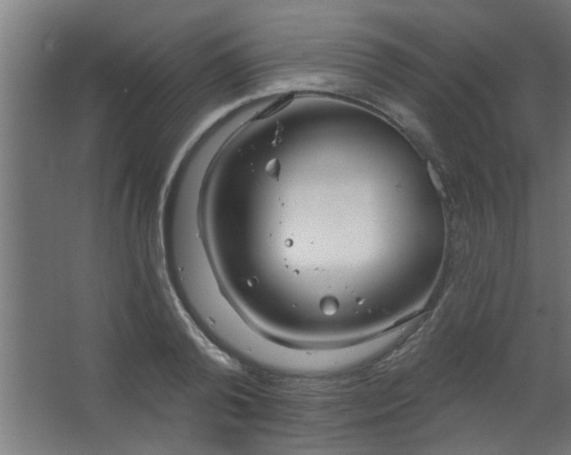 X0000067530792200604211842