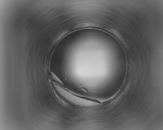 X0000067530793200604211842