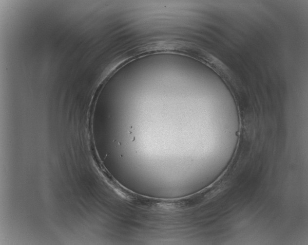 X0000067530794200604211842