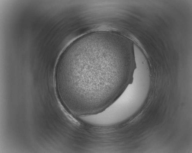 X0000067530795200604211842