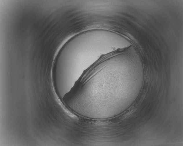 X0000067530796200604211842