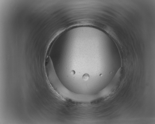 X0000067530797200604211842