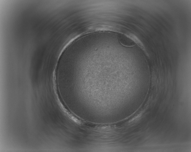 X0000067530798200604211842