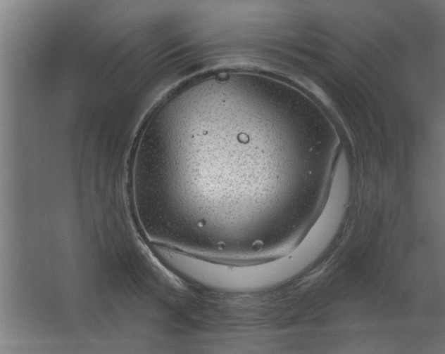 X0000067530799200604211842