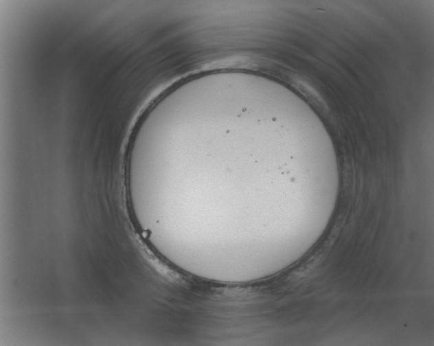 X0000067530800200604211842