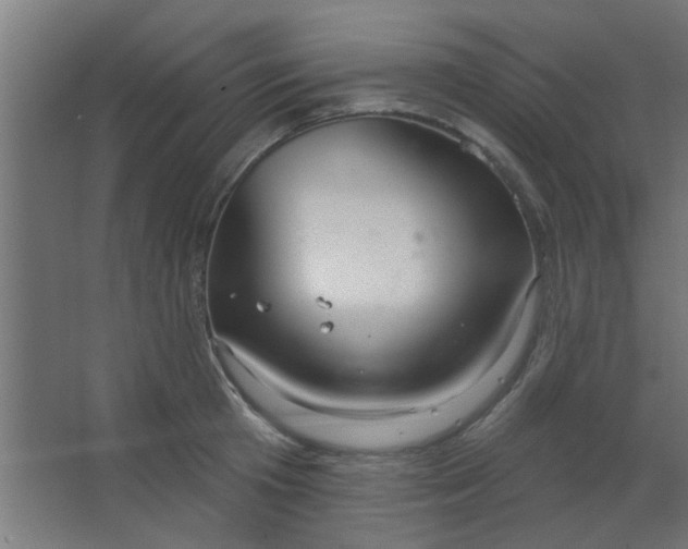 X0000067530801200604211842