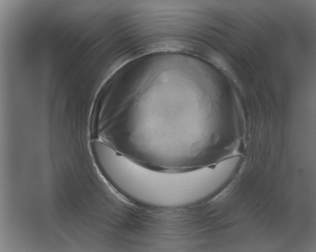 X0000067530802200604211842