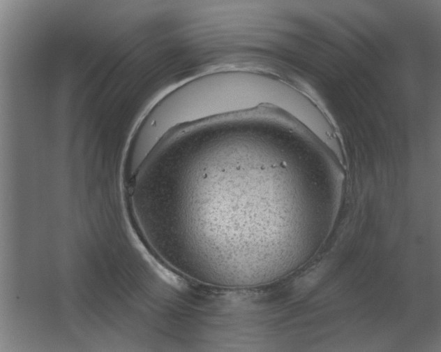 X0000067530803200604211842