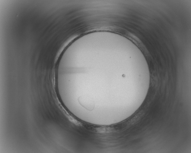 X0000067530804200604211842