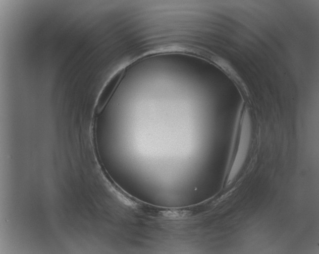 X0000067530805200604211842