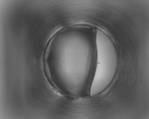 X0000067530806200604211842