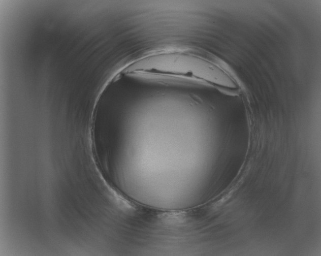 X0000067530810200604211842