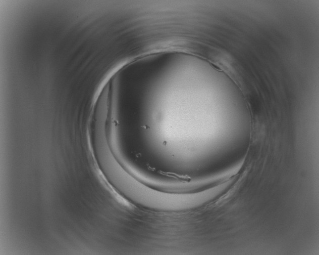 X0000067530812200604211842