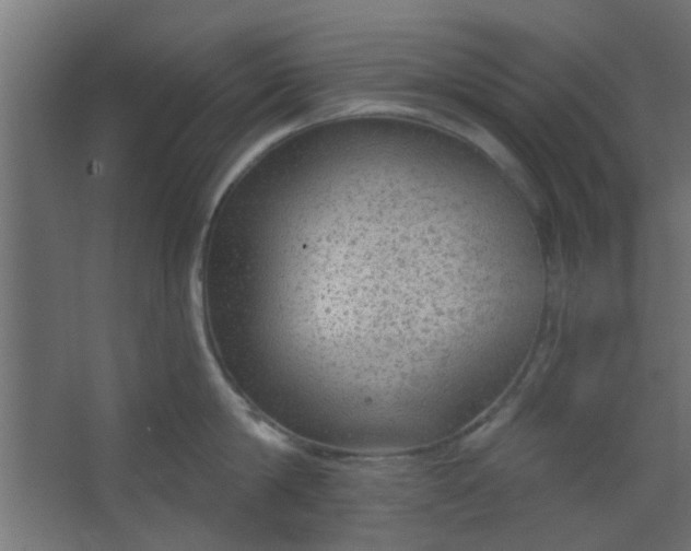 X0000067530814200604211842