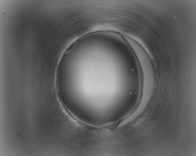 X0000067530815200604211842