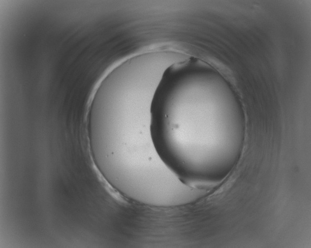 X0000067530816200604211842