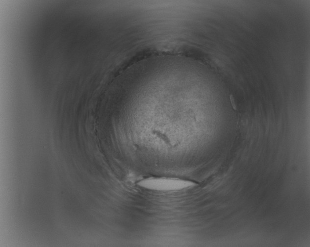 X0000067530817200604211841