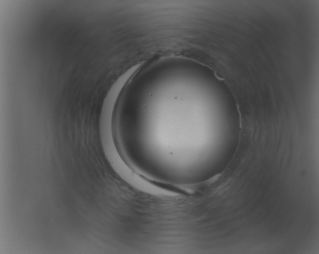 X0000067530818200604211841