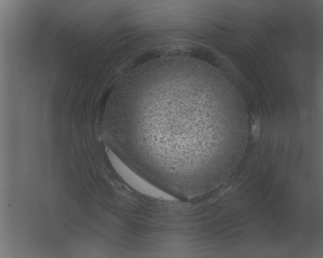 X0000067530819200604211841