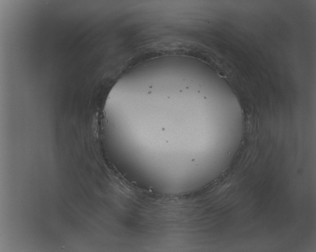 X0000067530820200604211841