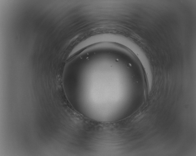 X0000067530822200604211841