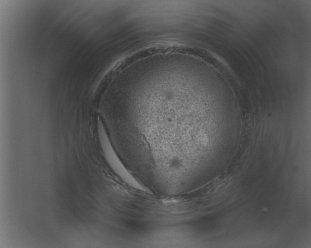 X0000067530823200604211841