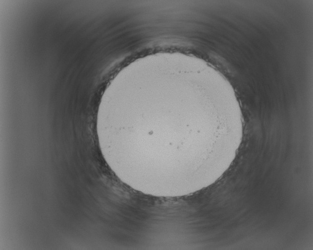 X0000067530824200604211841