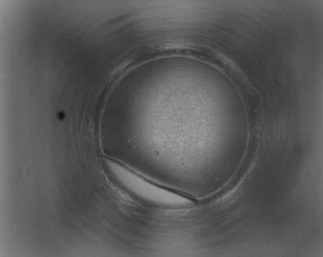 X0000067530825200604211841