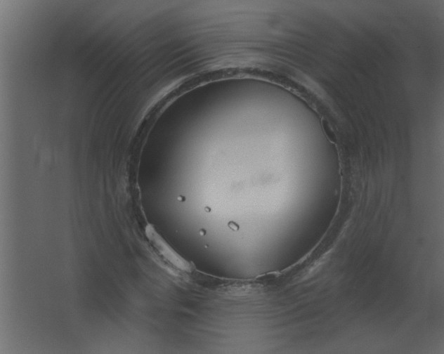 X0000067530826200604211841