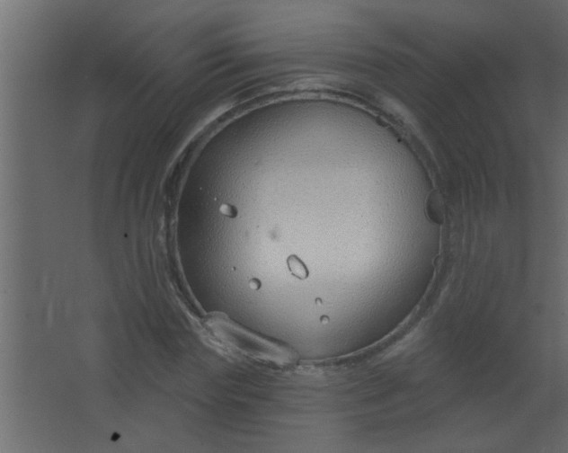 X0000067530827200604211841