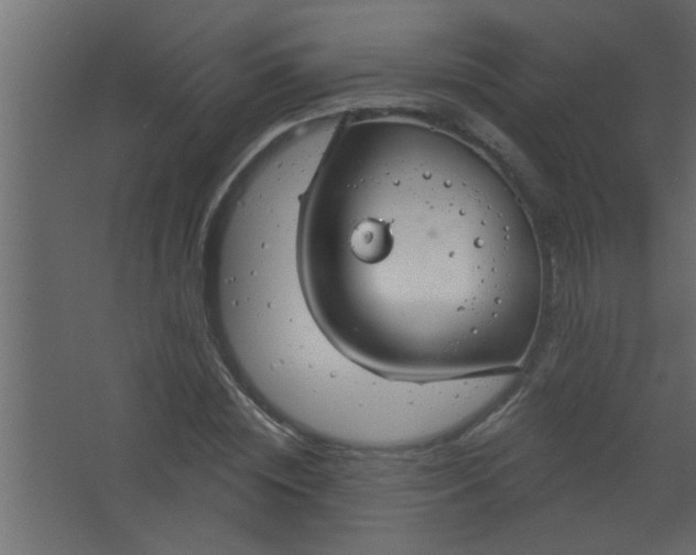 X0000067530828200604211841