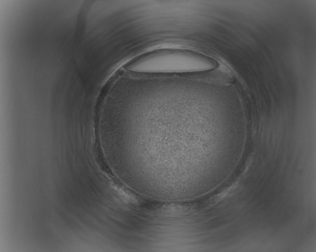 X0000067530829200604211841