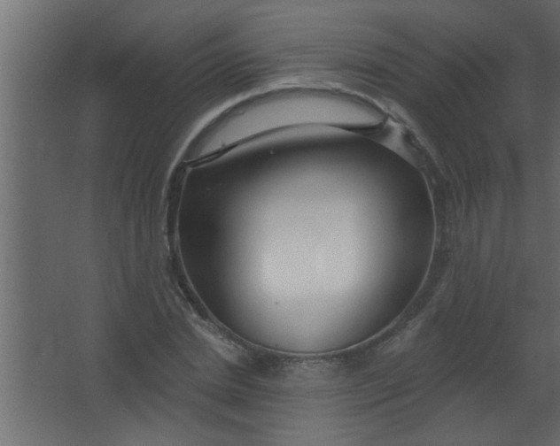 X0000067530830200604211841