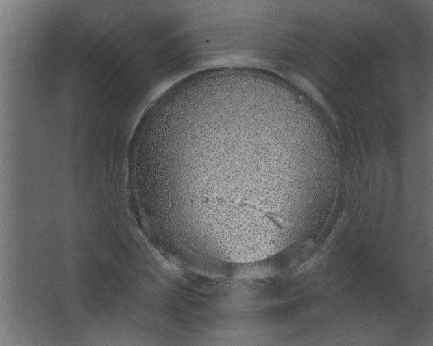 X0000067530831200604211841