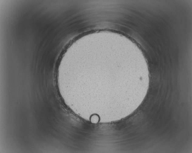 X0000067530832200604211841