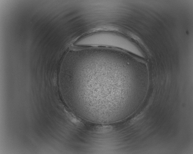 X0000067530833200604211841