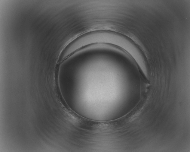 X0000067530834200604211841