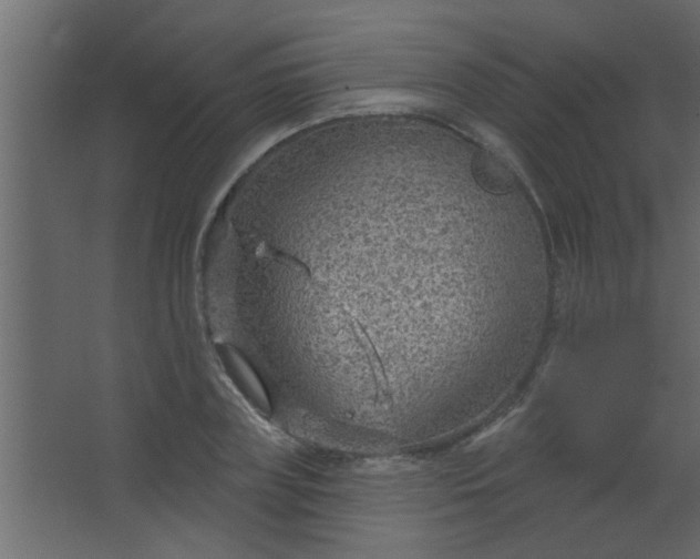 X0000067530835200604211841