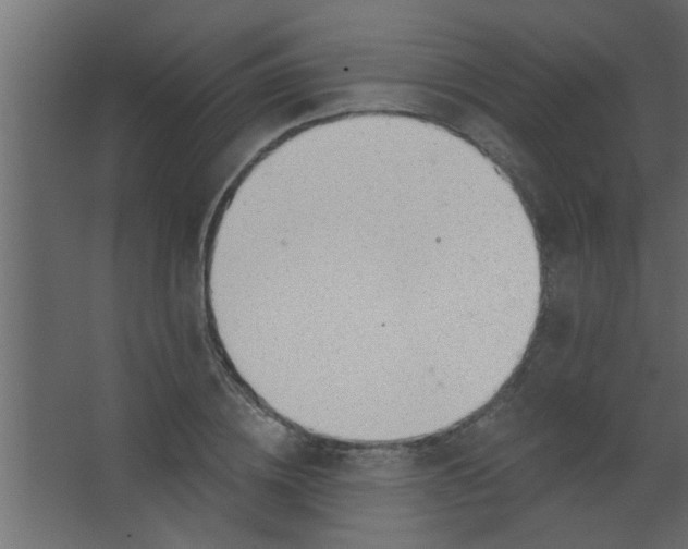 X0000067530836200604211841