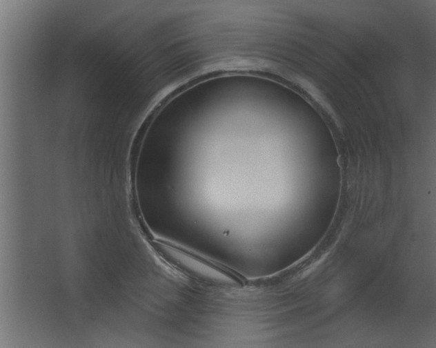 X0000067530837200604211841