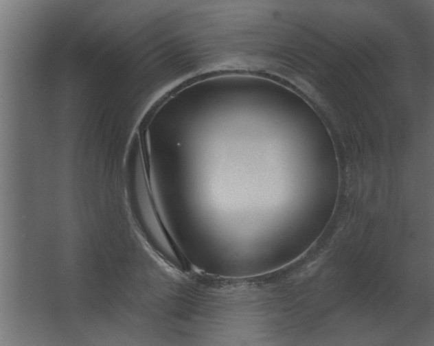 X0000067530838200604211841