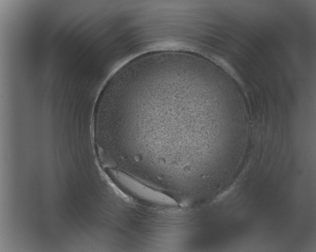 X0000067530839200604211841