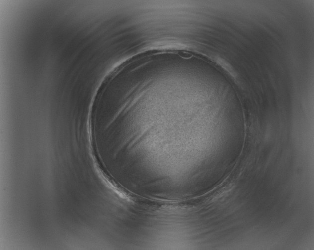 X0000067530840200604211841