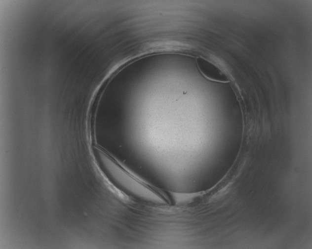 X0000067530843200604211841