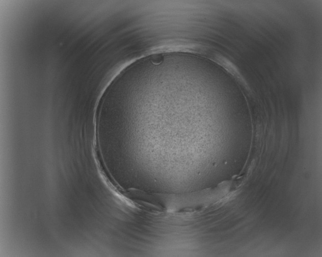 X0000067530844200604211841