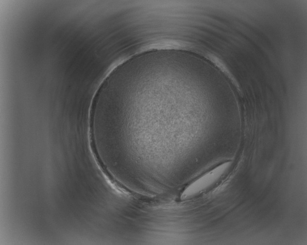 X0000067530845200604211841