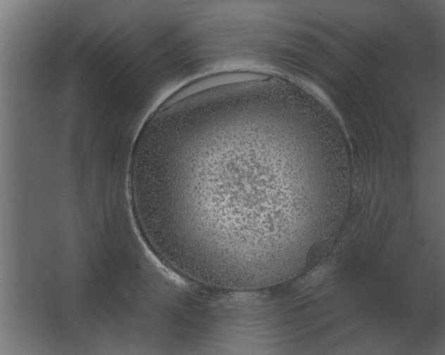 X0000067530847200604211841