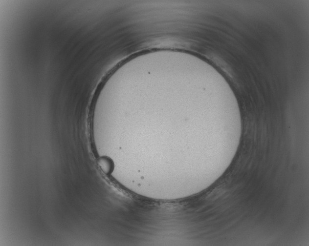 X0000067530848200604211841